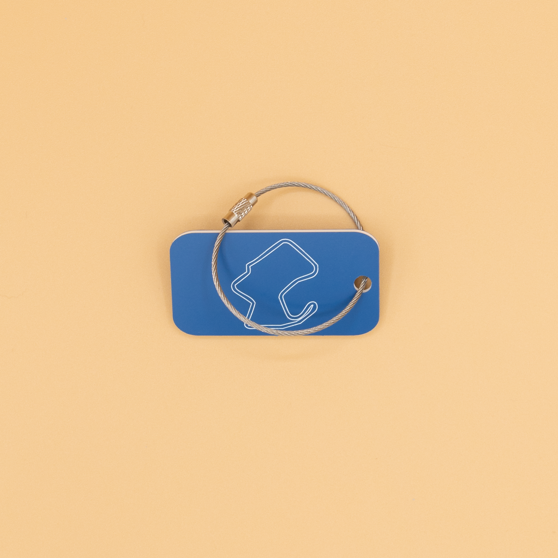 Laguna Seca Acrylic Keychain in Light blue with a wire loop.
