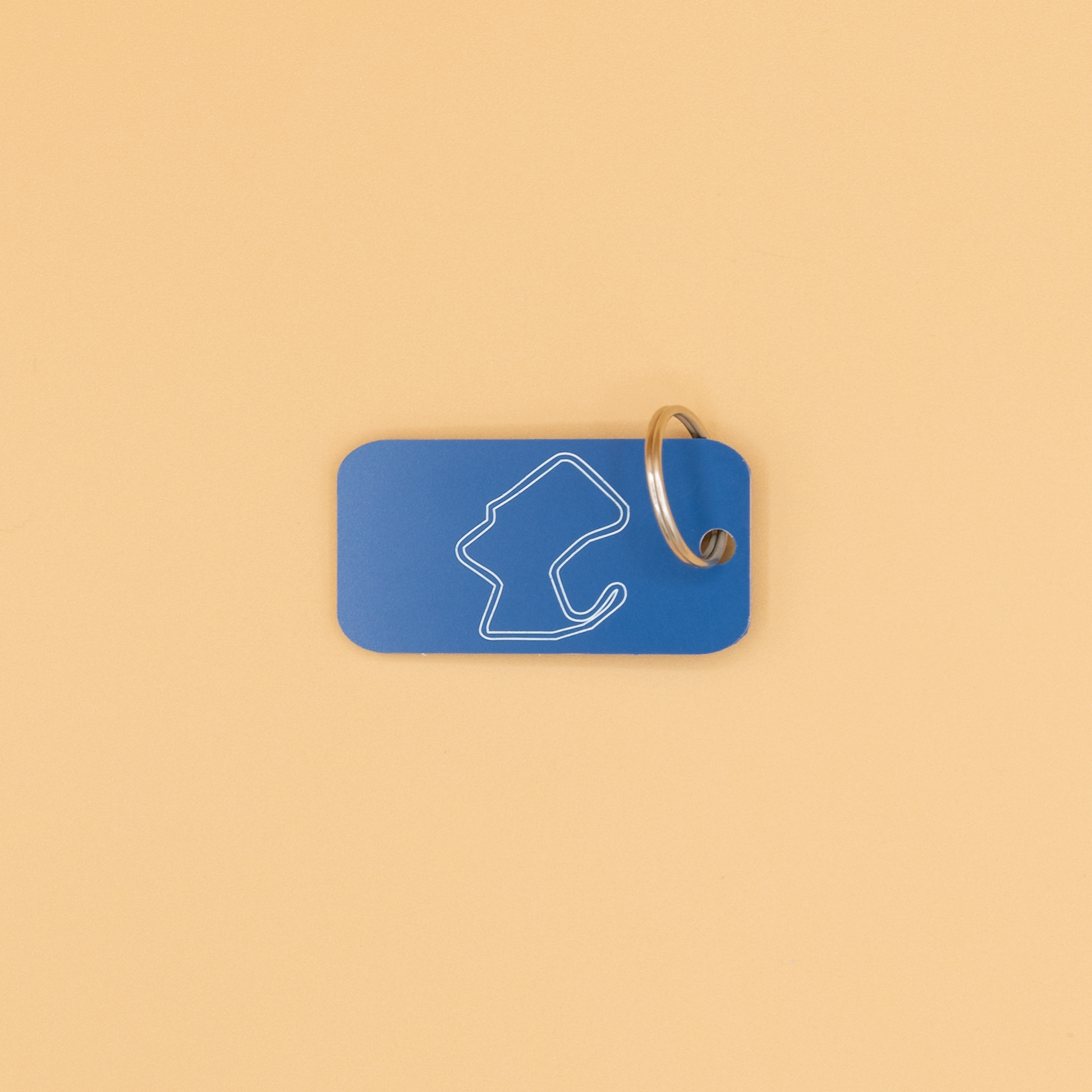 Laguna Seca Acrylic Keychain in Light blue with a classic key ring.