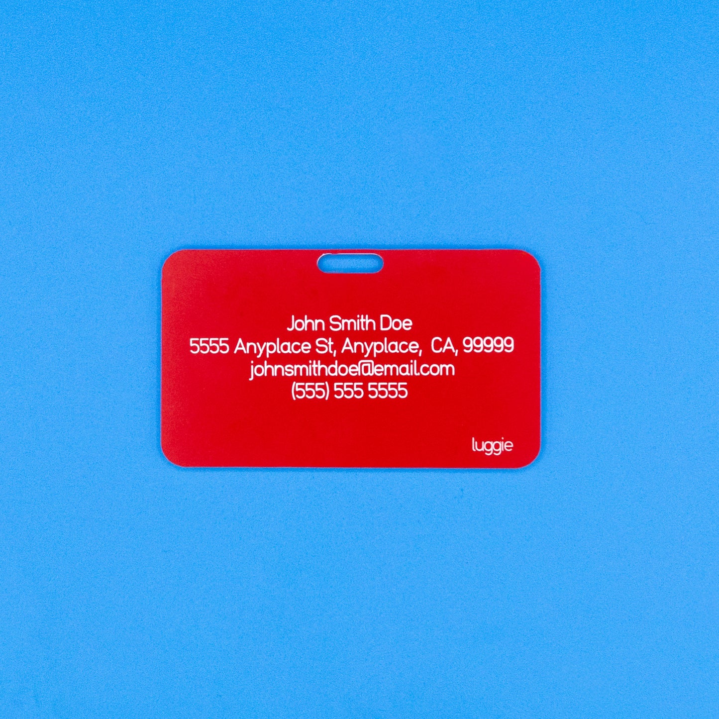 Safety on Board Luggage Tag