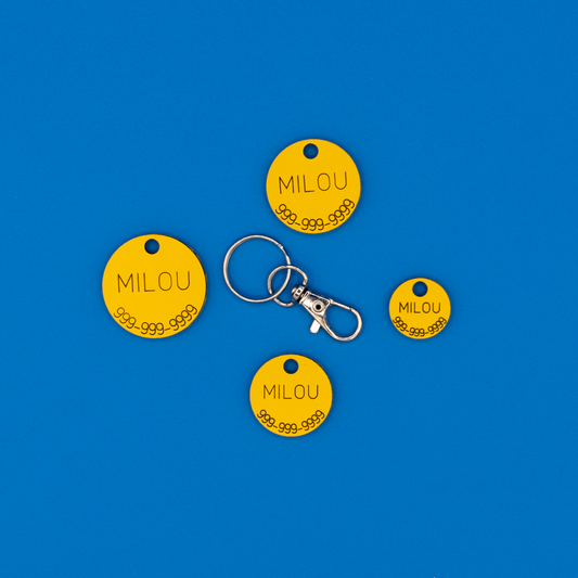 Circular Yellow Pet ID Tags in all sizes with strap option.