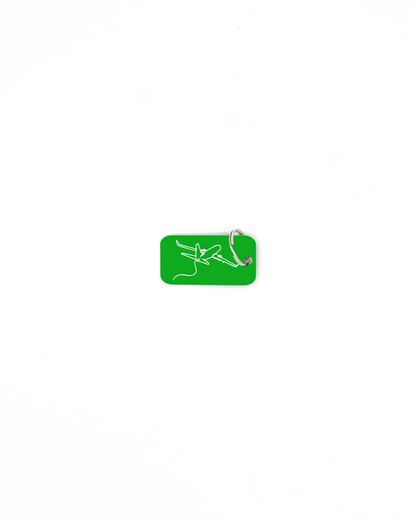 plane design spring green bag tag with classic key ring