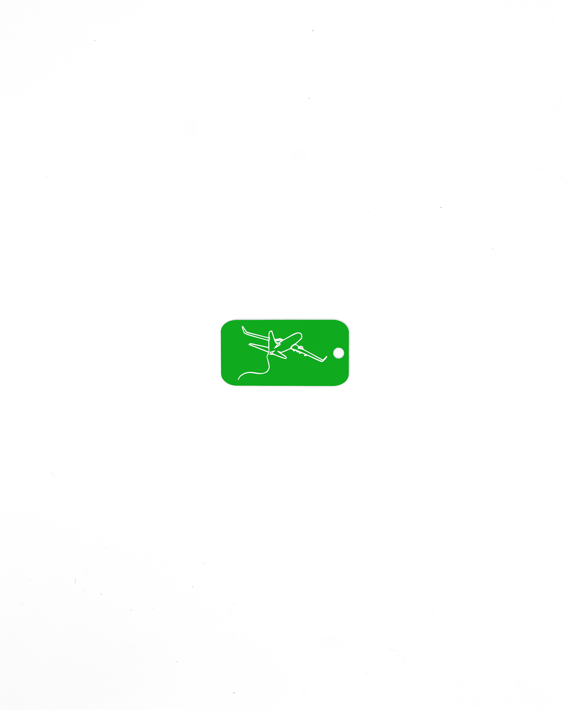 plane design spring green bag tag