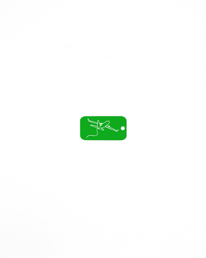 plane design spring green bag tag